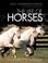 Cover of: Life of Horses