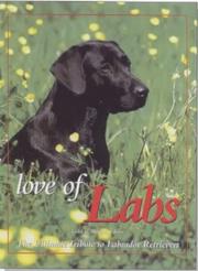 Cover of: Love of Labs by Todd Berger