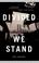 Cover of: Divided We Stand 