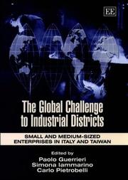 Cover of: The Global Challenge to Industrial Districts: Small and Medium Sized Enterprises in Italy and Taiwan