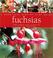 Cover of: Fuchsias