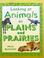 Cover of: On Plains and Prairies (Looking at Animals)