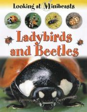 Cover of: Ladybirds and Beetles (Looking at Minibeasts) by Sally Morgan