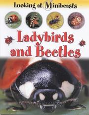 Cover of: Ladybirds and Beetles (Looking at Minibeasts) by Sally Morgan