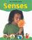 Cover of: The Senses (My Healthy Body)