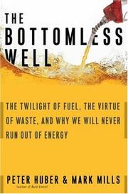 Cover of: The Bottomless Well: The Twilight of Fuel, the Virtue of Waste, and Why We Will Never Run Out of Energy