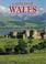 Cover of: Castles of Wales