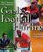 Cover of: The Ultimate Encyclopedia of Gaelic Football and Hurling