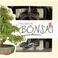 Cover of: The Art of Bonsai (Lifestyle Box Sets)