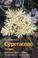 Cover of: World Checklist of Cyperaceae (World Checklist)