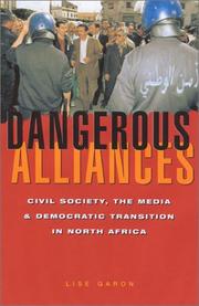 Cover of: Dangerous Alliances: Civil Society, the Media and Democratic Transition in North Africa