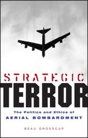 Strategic Terror by Beau Grosscup