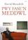 Cover of: Pwy Fasa'n Meddwll