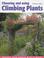 Cover of: Choosing and Using Climbing Plants
