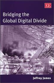 Cover of: Bridging the Global Digital Divide by Jeffrey James