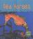 Cover of: Sea Horses (Read & Learn: Sea Life)
