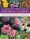 Cover of: Gardener's Directory of Shrubs & Climbers