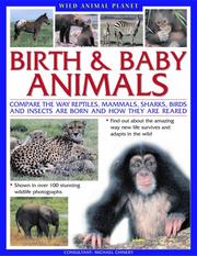 Cover of: Wild Animal Planet: Birth and Baby Animals: Compare the way reptiles, mammals, sharks, birds and insects are born, find out about the amazing way new life ... and adapts in the wild (Wild Animal Planet)