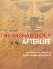 Cover of: The Archaeology of the Afterlife