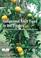 Cover of: Indigenous Fruit Trees in the Tropics