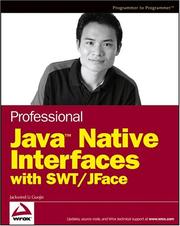 Cover of: Professional Java Native Interfaces with SWT/JFace (Programmer to Programmer) by Jackwind Li Guojie