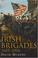 Cover of: The Irish Brigades, 1685-2006