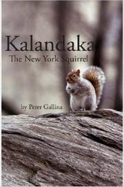 Kalandaka, the New York squirrel