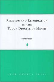 Religion And Reformation in the Tudor Diocese of Meath by Brendan Scott