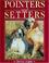 Cover of: Pointers And Setters