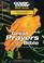 Cover of: Great Prayers Of The Bible (Cover To Cover)