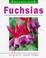 Cover of: Fuchsias (Success with)