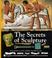 Cover of: The Secrets of Sculpture