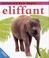 Cover of: Eliffant (Anifeiliaid Bach Gwyllt)