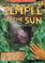 Cover of: The Temple of the Sun (History Hunters)