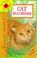 Cover of: Cat in the Corner (Orchard Beginners)