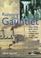 Cover of: Running the Gauntlet