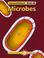 Cover of: Microbes (Science@School)