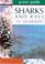 Cover of: Green Guide Sharks & Rays of Australia (Green Guides)
