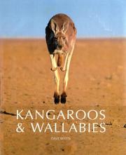 Cover of: Kangaroos & Wallabies of Australia by Dave Watts