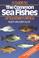 Cover of: Guide to the Common Sea Fishes of South Africa