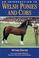 Cover of: An Introduction to Welsh Ponies and Cobs (Horses & Ponies)