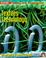 Cover of: GCSE Design and Technology