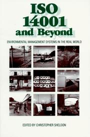 Cover of: Iso 14001 and Beyond by Christopher Sheldon