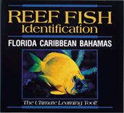 Cover of: Reef Fish Identification CD ROM