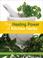 Cover of: The Healing Power of Kitchen Herbs