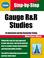 Cover of: Gauge R&R studies