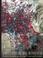 Cover of: Remote Sensing and Image Interpretation, 4th Edition