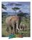 Cover of: Elefantes