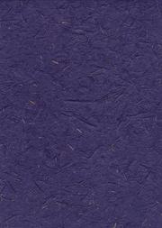 Cover of: The Blue Rainbow Journal (Shizen Design Journals)