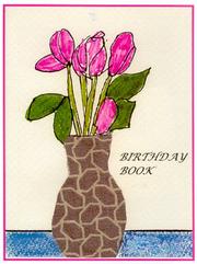 Cover of: Birthday Book  by Jan Yager